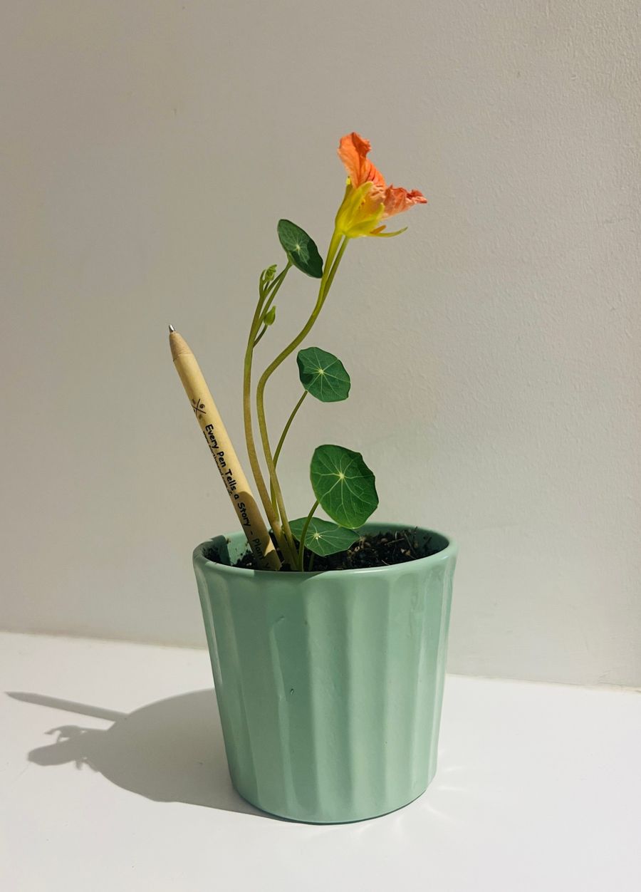 The EarthMend pen planted in a pot beside a flowering nasturtium plant