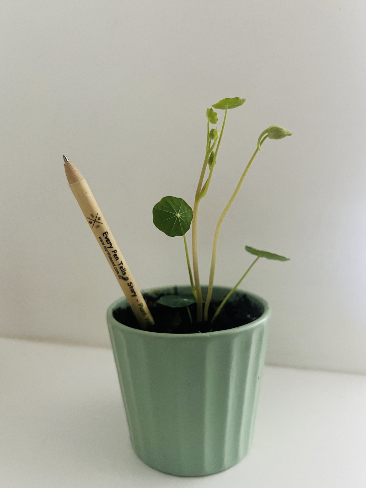 The EarthMend pen planted in a pot beside a sprouting nasturtium seedling with tiny leaves and flower buds