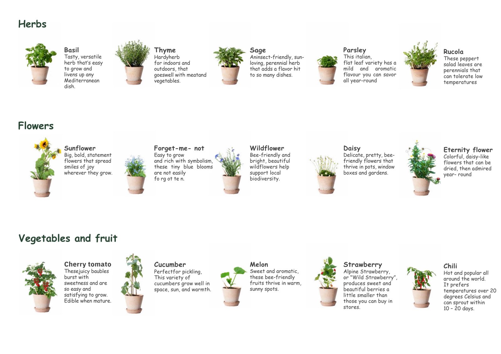 A catalogue of seed varieties available in the EarthMend seed capsule: herbs (basil, thyme, sage, parsley, rucola), flowers (sunflower, forget-me-not, wildflower, daisy, eternity flower), and vegetables and fruit (cherry tomato, cucumber, melon, strawberry, chili)
