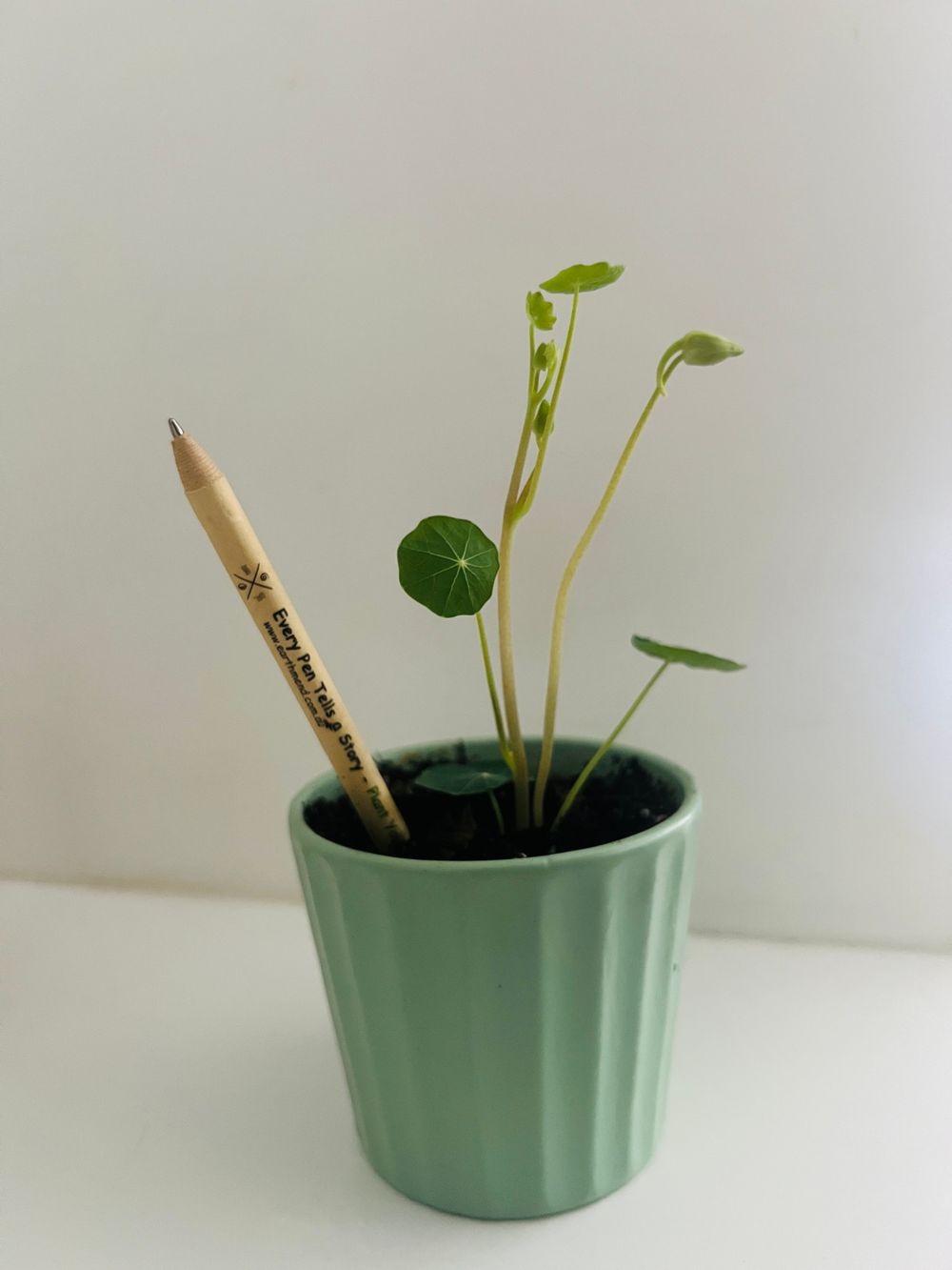 An EarthMend pen planted in a small pot beside a young sprouted nasturtium seedling